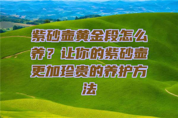 紫砂壶黄金段怎么养？让你的紫砂壶更加珍贵的养护方法