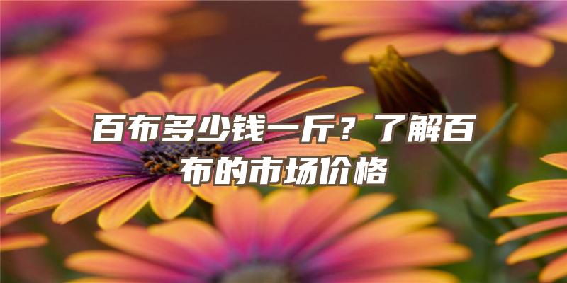 百布多少钱一斤？了解百布的市场价格