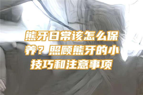 熊牙日常该怎么保养？照顾熊牙的小技巧和注意事项