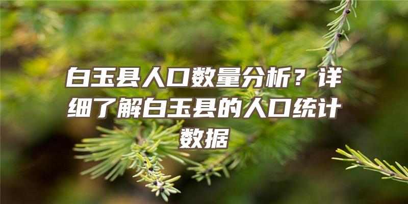 白玉县人口数量分析？详细了解白玉县的人口统计数据