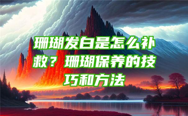 珊瑚发白是怎么补救？珊瑚保养的技巧和方法