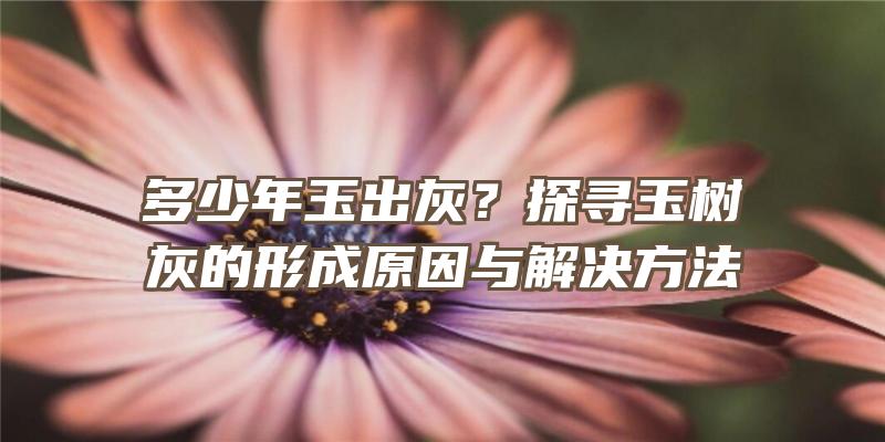 多少年玉出灰？探寻玉树灰的形成原因与解决方法