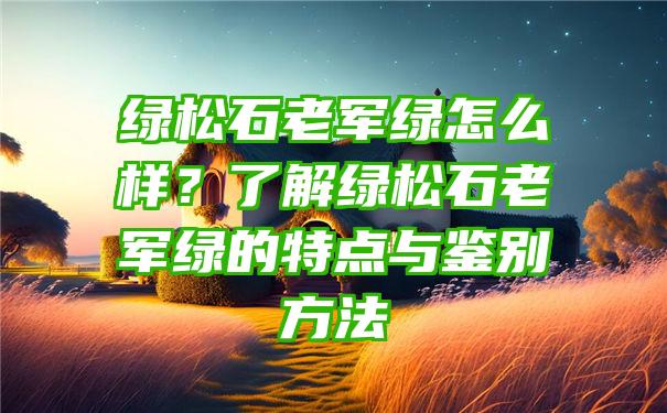 绿松石老军绿怎么样？了解绿松石老军绿的特点与鉴别方法