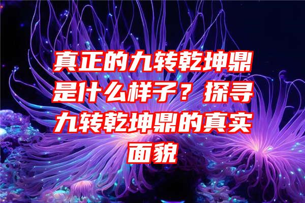 真正的九转乾坤鼎是什么样子？探寻九转乾坤鼎的真实面貌