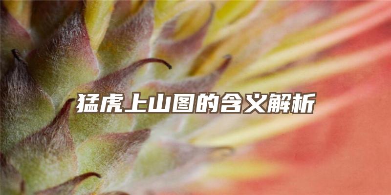 猛虎上山图的含义解析