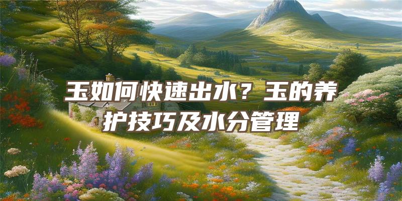 玉如何快速出水？玉的养护技巧及水分管理