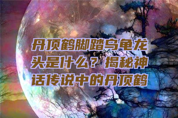 丹顶鹤脚踏乌龟龙头是什么？揭秘神话传说中的丹顶鹤