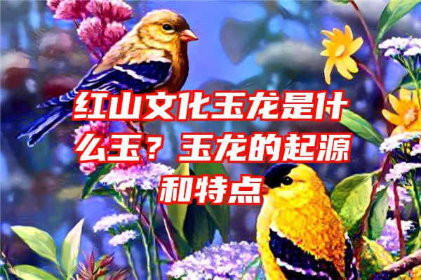 红山文化玉龙是什么玉？玉龙的起源和特点