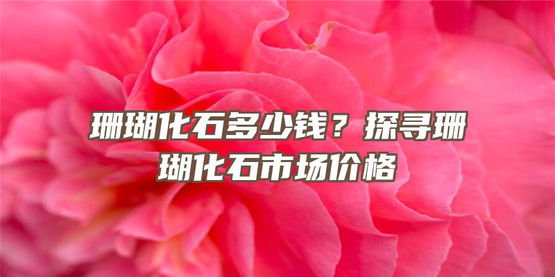 珊瑚化石多少钱？探寻珊瑚化石市场价格