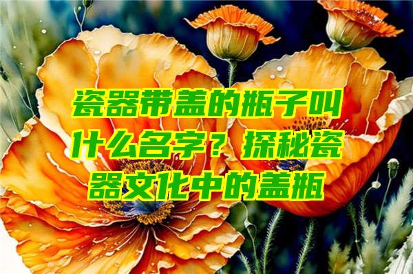 瓷器带盖的瓶子叫什么名字？探秘瓷器文化中的盖瓶