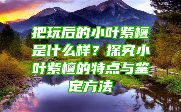 把玩后的小叶紫檀是什么样？探究小叶紫檀的特点与鉴定方法