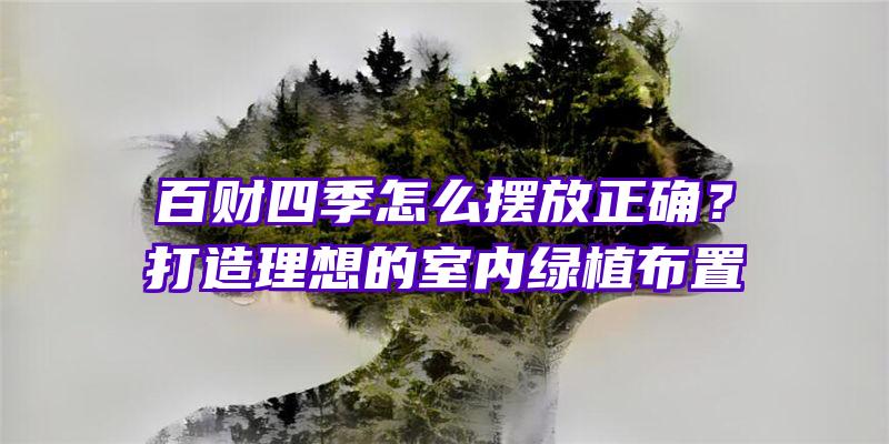 百财四季怎么摆放正确？打造理想的室内绿植布置