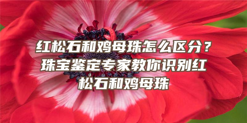 红松石和鸡母珠怎么区分？珠宝鉴定专家教你识别红松石和鸡母珠