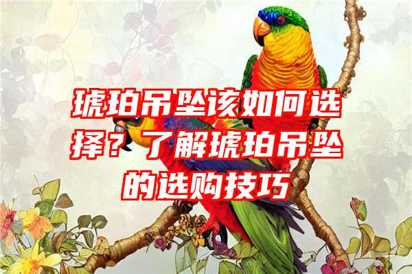 琥珀吊坠该如何选择？了解琥珀吊坠的选购技巧