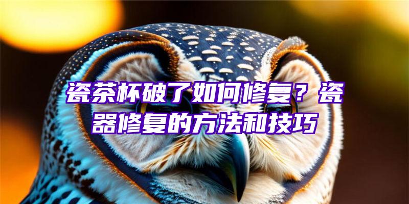 瓷茶杯破了如何修复？瓷器修复的方法和技巧