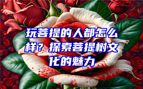 玩菩提的人都怎么样？探索菩提树文化的魅力