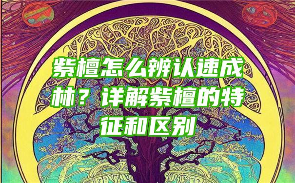 紫檀怎么辨认速成林？详解紫檀的特征和区别