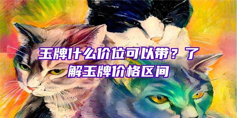 玉牌什么价位可以带？了解玉牌价格区间