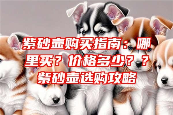 紫砂壶购买指南：哪里买？价格多少？？紫砂壶选购攻略