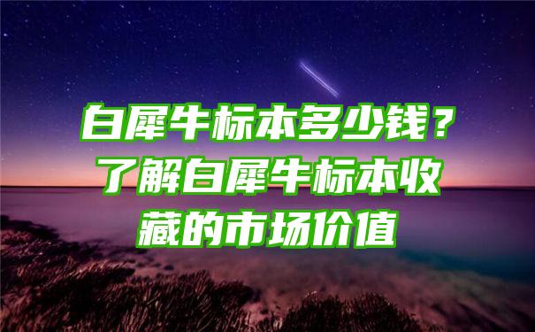 白犀牛标本多少钱？了解白犀牛标本收藏的市场价值