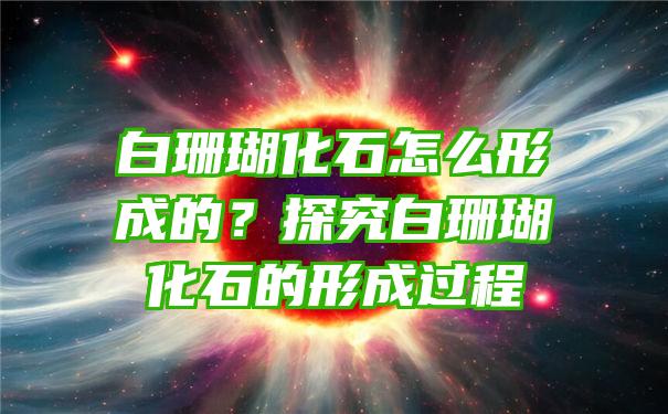 白珊瑚化石怎么形成的？探究白珊瑚化石的形成过程