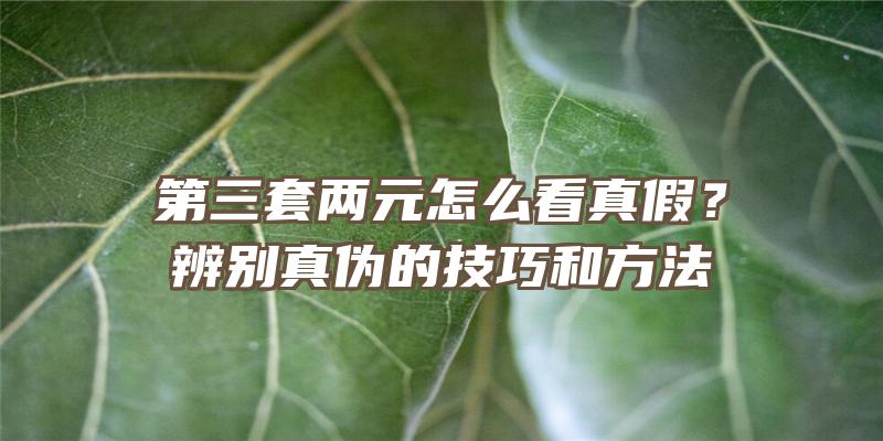 第三套两元怎么看真假？辨别真伪的技巧和方法