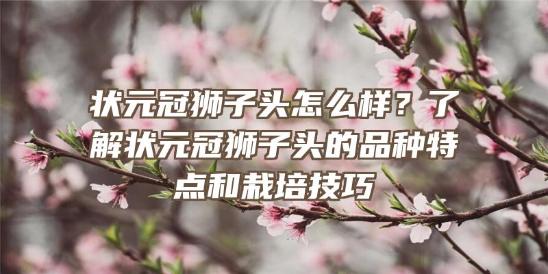 状元冠狮子头怎么样？了解状元冠狮子头的品种特点和栽培技巧