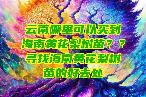 云南哪里可以买到海南黄花梨树苗？？寻找海南黄花梨树苗的好去处