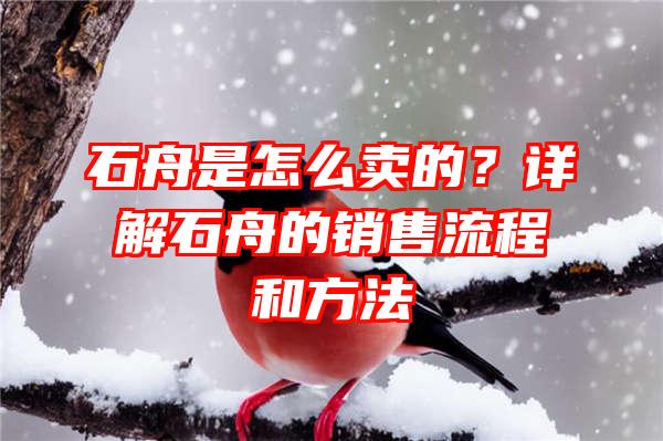 石舟是怎么卖的？详解石舟的销售流程和方法