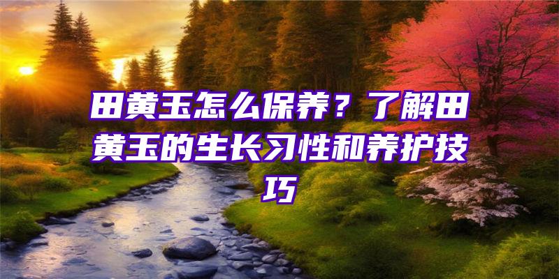 田黄玉怎么保养？了解田黄玉的生长习性和养护技巧