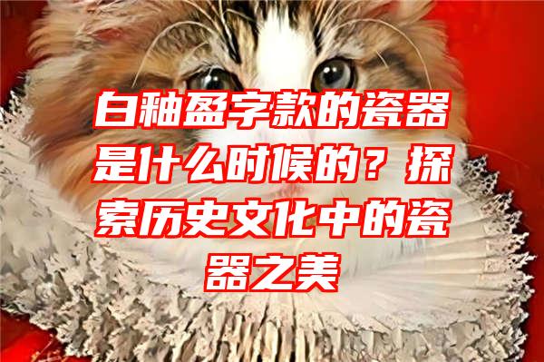 白釉盈字款的瓷器是什么时候的？探索历史文化中的瓷器之美