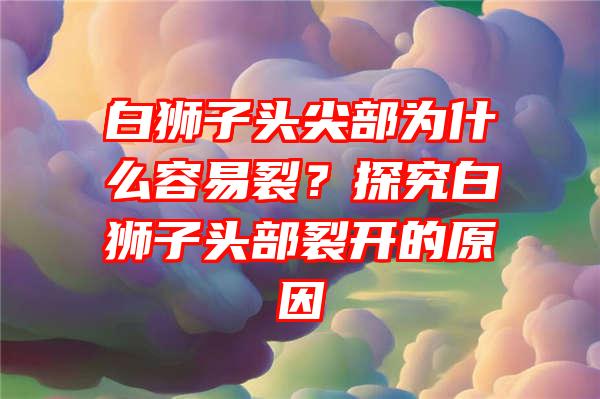 白狮子头尖部为什么容易裂？探究白狮子头部裂开的原因