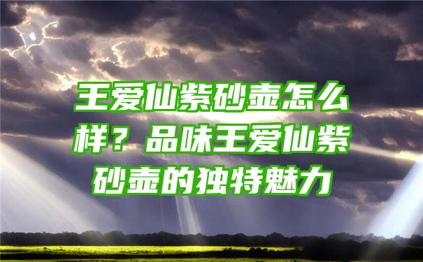 王爱仙紫砂壶怎么样？品味王爱仙紫砂壶的独特魅力