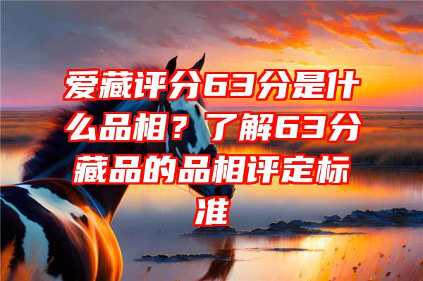 爱藏评分63分是什么品相？了解63分藏品的品相评定标准