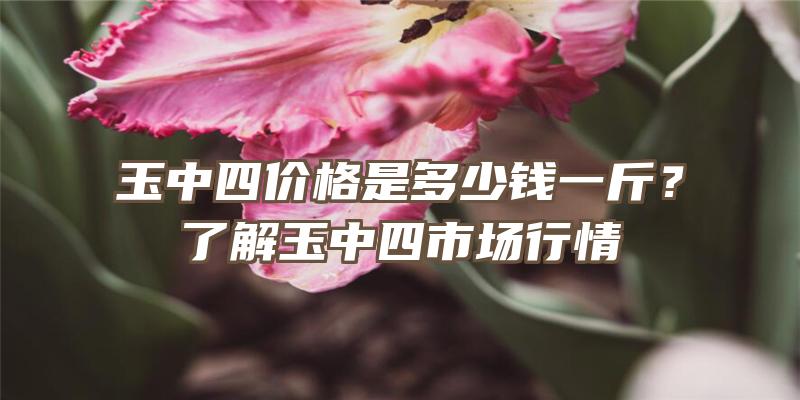 玉中四价格是多少钱一斤？了解玉中四市场行情