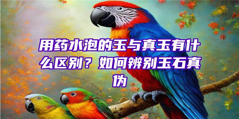 用药水泡的玉与真玉有什么区别？如何辨别玉石真伪