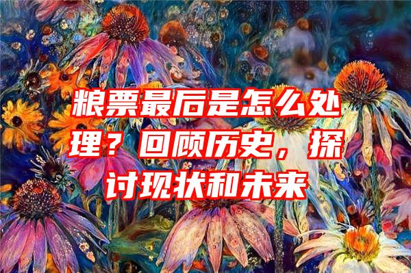 粮票最后是怎么处理？回顾历史，探讨现状和未来