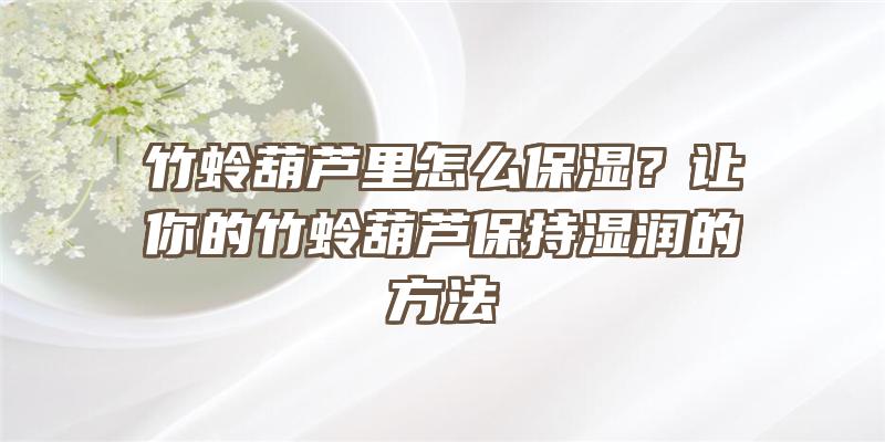 竹蛉葫芦里怎么保湿？让你的竹蛉葫芦保持湿润的方法