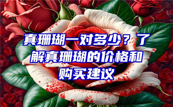 真珊瑚一对多少？了解真珊瑚的价格和购买建议