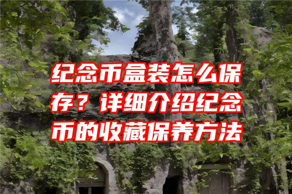 纪念币盒装怎么保存？详细介绍纪念币的收藏保养方法