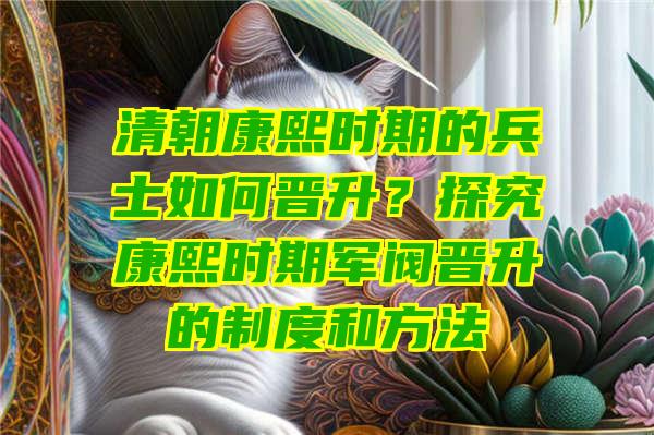 清朝康熙时期的兵士如何晋升？探究康熙时期军阀晋升的制度和方法