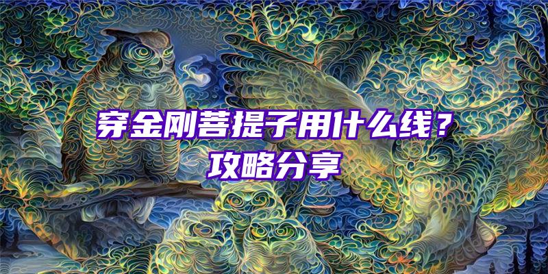 穿金刚菩提子用什么线？攻略分享