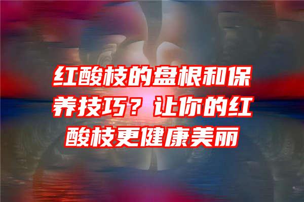 红酸枝的盘根和保养技巧？让你的红酸枝更健康美丽