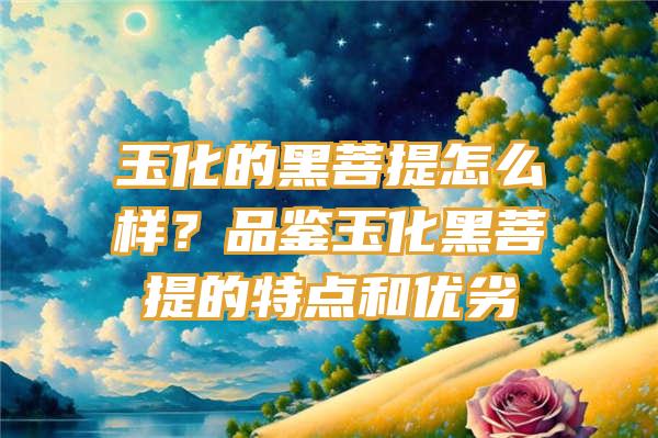 玉化的黑菩提怎么样？品鉴玉化黑菩提的特点和优劣