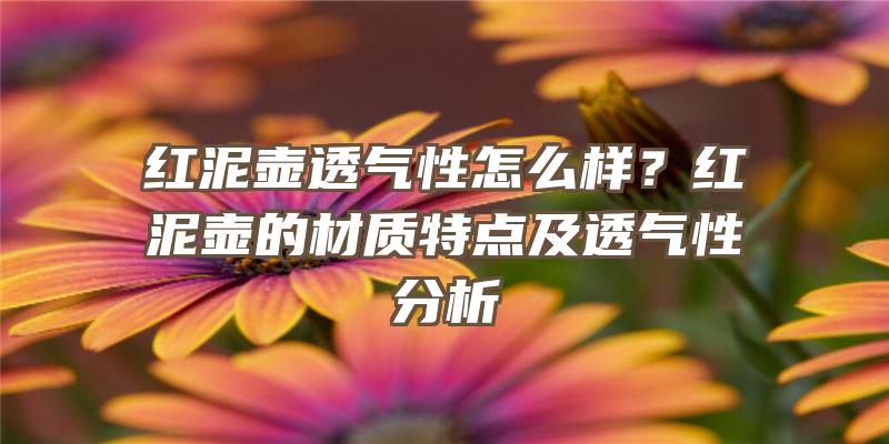 红泥壶透气性怎么样？红泥壶的材质特点及透气性分析