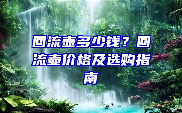 回流壶多少钱？回流壶价格及选购指南