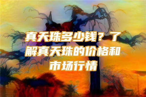 真天珠多少钱？了解真天珠的价格和市场行情