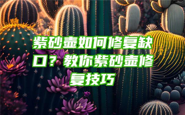 紫砂壶如何修复缺口？教你紫砂壶修复技巧