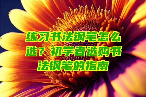 练习书法钢笔怎么选？初学者选购书法钢笔的指南