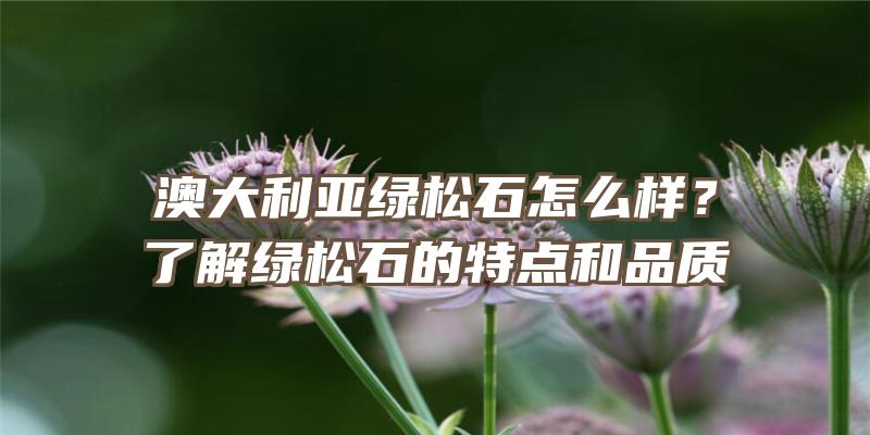 澳大利亚绿松石怎么样？了解绿松石的特点和品质